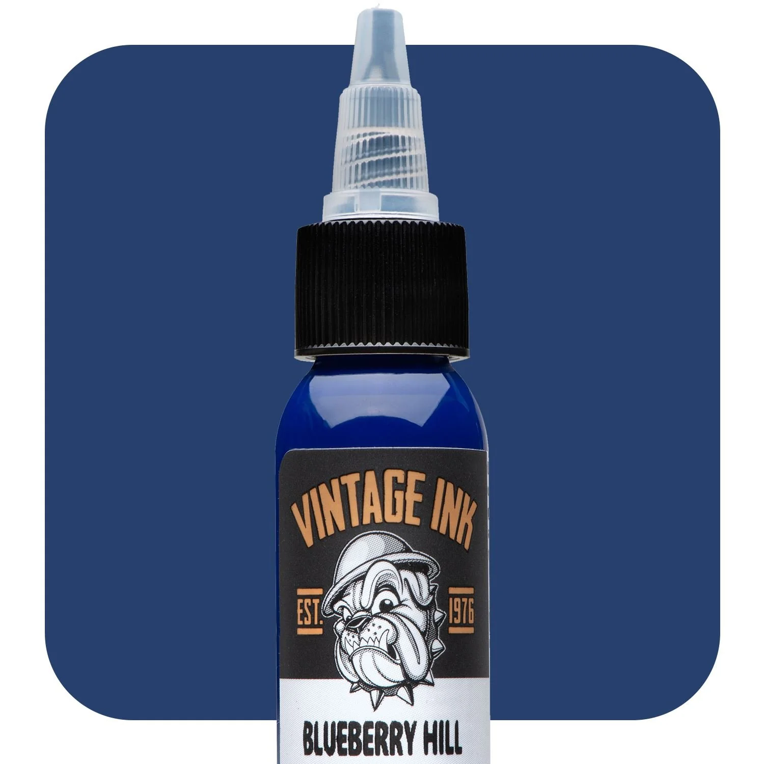 Eternal Ink - Vintage Ink - Blueberry Hill 1oz